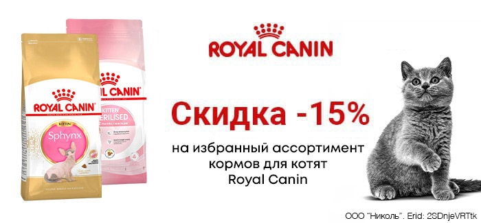 Скидка -15% на корма для котят Royal Canin