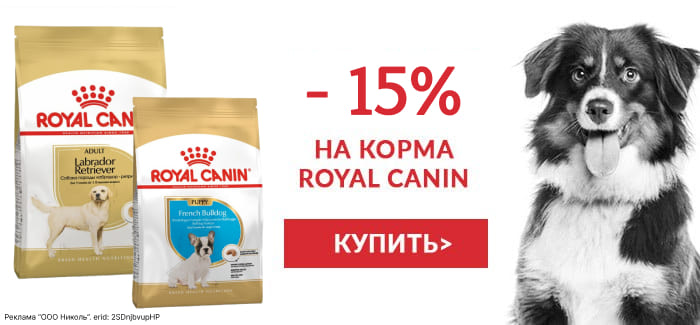 Скидка -15% на корма для собак Royal Canin