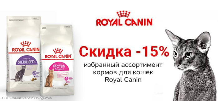 Скидка -15% на сухие корма для кошек Royal Canin