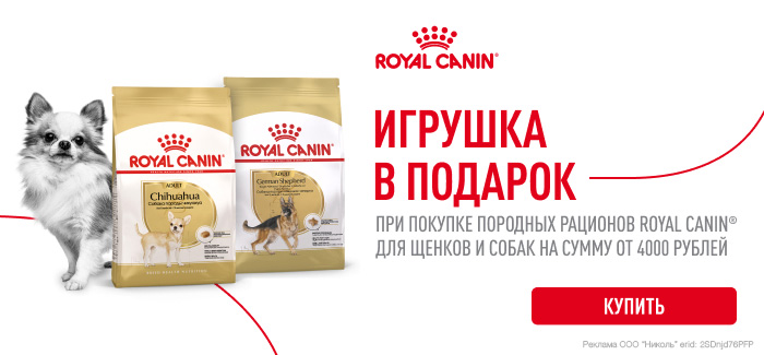 При покупке породных кормов Royal Canin для собак на сумму от 4000 руб получите в подарок игрушку
