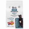 Brit Сare Dog Adult Large Chondroprotectors сухой корм для собак крупных пород, с индейкой и уткой - 3 кг