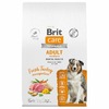 Brit Care Dog Adult M Dental Health сухой корм для взрослых собак средних пород для здоровья полости рта, с индейкой - 12 кг фото 1