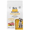Brit Сare Dog Puppy&Junior M Healthy Growth сухой корм для щенков средних пород, с индейкой и уткой - 1,5кг