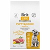 Brit Care Dog Puppy&Junior M Healthy Growth сухой корм для щенков средних пород, с индейкой и уткой - 12 кг фото 1