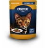 Candycat полнорационный влажный корм для кошек, с курицей, кусочки в желе, в паучах - 85 г