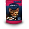 Candycat полнорационный влажный корм для кошек, с лососем, кусочки в желе, в паучах - 85 г фото 1