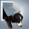 Дверца Trixie для собак с 2 функциями 30,8х38 см из пластика белого цвета