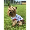 OSSO-fashion футболка Бум для собак любого возраста миниатюрных мелких и средних пород - р. 22