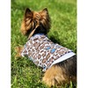 Футболка OSSO-fashion Леопард для собак любого возраста миниатюрных мелких и средних пород - р. 22 фото 1