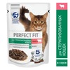 Perfect Fit полнорационнный влажный корм для кастрированных котов и стерилизованных кошек, с говядиной, кусочки в соусе, в паучах - 75 г