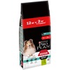 Pro Plan OptiDigest сухой корм для собак cредних пород с чувствительным пищеварением, с ягненком и рисом - 12 кг + 2 кг в подарок фото 1