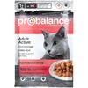 ProBalance Active полнорационный влажный корм для кошек с высокой активностью, с курицей, кусочки в соусе, в паучах - 85 г фото 1