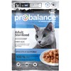 ProBalance Sterilized полнорационный влажный корм для стерилизованных кошек, с курицей, кусочки в соусе, в паучах - 85 г фото 1