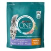 Purina One сухой корм для кошек для красивой шерсти и здоровой кожи с курицей - 750 г фото 1