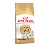 Royal Canin Siamese Adult полнорационный сухой корм для взрослых кошек породы сиамская - 400 г