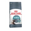 Royal Canin Hairball Care сухой корм для взрослых кошек при недостаточном выведении волосяных комочков из желудочно - кишечного тракта - 2 кг