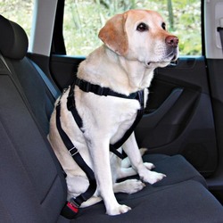 Автомобильный ремень безопасности Trixie со шлейкой для собак с обхватом туловища 80-110 см