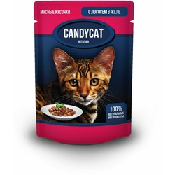 Candycat полнорационный влажный корм для кошек, с лососем, кусочки в желе, в паучах - 85 г
