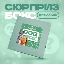 Dog box мэджикбокс универсальный подарок для собак