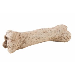 Exo Terra убежище-декор кость динозавра 19х8х7 см (PT2842)
