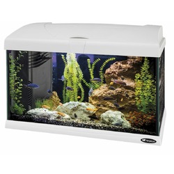 Ferplast Capri 50 Led аквариум, со светодиодной лампой 50 LED, внутренним фильтром и нагревателем, стеклянный - 40 л, 52x27xh36 см