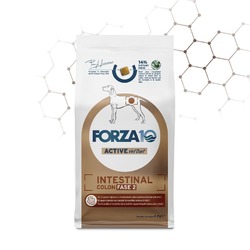 Forza10 Intestinal Colitis fase II сухой корм для собак, профилактика рецедивов колитов, с рыбой - 4 кг