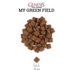 Genesis Pure Canada My Green Field Sensitive для взрослых кошек с чувствительным пищеварением с говядиной, гусем и курицей - 340 г