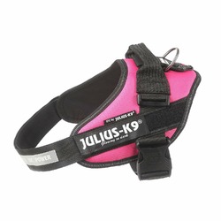 Julius-K9 шлейка для собак IDC-Powerharness 2, 71-96 см/ 28-40 кг, темно-розовая