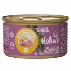 Molina влажный корм для котят и кошек, с цыпленком, кусочки в желе, в консервах - 70 г