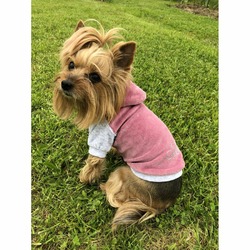 Толстовка с капюшоном OSSO-fashion для собак любого возраста миниатюрных мелких и средних пород из велюра розового цвета - р. 22