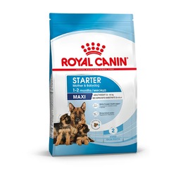 Royal Canin Maxi Starter Mother & Babydog для щенков крупных размеров до 2-месяцев и сук в последней трети беременности и во время лактации - 4 кг