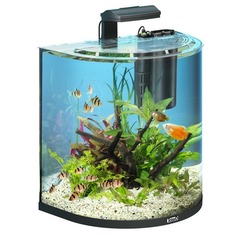 Комплекс Tetra AquaArt Explorer Line LED аквариумный "Полумесяц" - 60 л, 32х50х50 см
