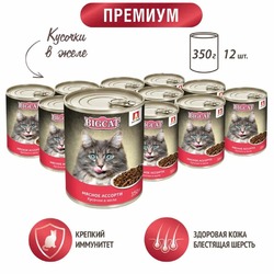 Зоогурман Big Cat влажный корм для кошек крупных пород, с мясным ассорти, кусочки в желе, в консервах - 350 г