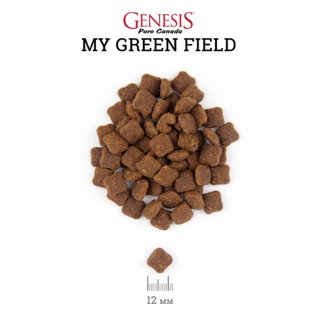Genesis Pure Canada My Green Field Sensitive для взрослых кошек с чувствительным пищеварением с говядиной, гусем и курицей - 340 г фото 1