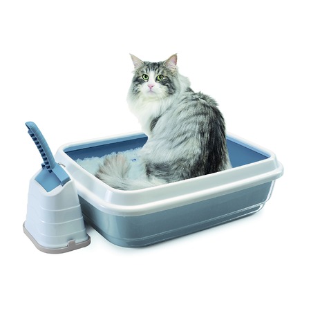 Туалет Imac Duo для кошек с бортом и совком пепельно-синий - 59х40х28 см. фото 1
