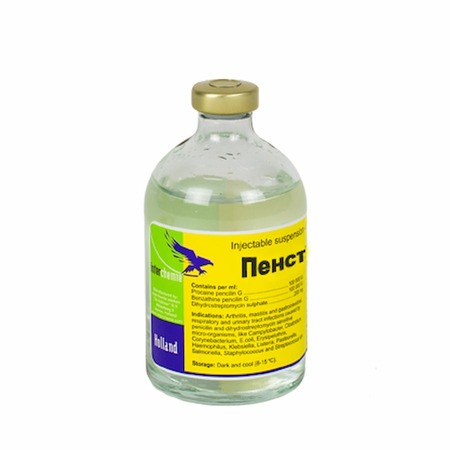 Interchemie Пенстреп-400 (Pen-strep) антибиотик для взрослых кошек и взрослых собак всех пород для лечения инфекционных заболеваний - 100 г фото 1