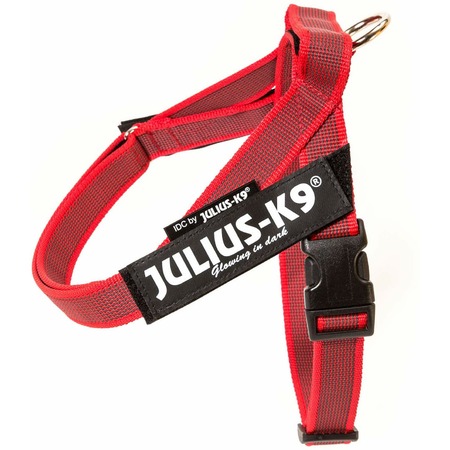 Julius-K9 шлейка для собак Color & Gray Mini-Mini, 40-49 см / 4-7 кг, красная фото 1