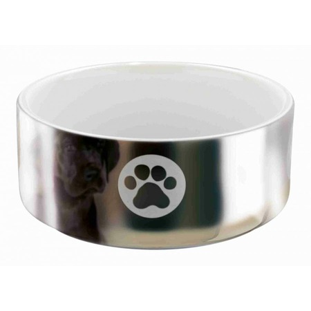 Миска Trixie для собак керамическая 0,3 л/ø12 см серебряно-белая с рисунком фото 1