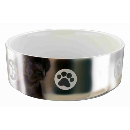 Миска Trixie для собак керамическая 0,8 л/ø15 см серебряно-белая с рисунком фото 1