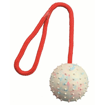 Мяч Trixie для собак на веревке 30 см Ф7 см фото 1