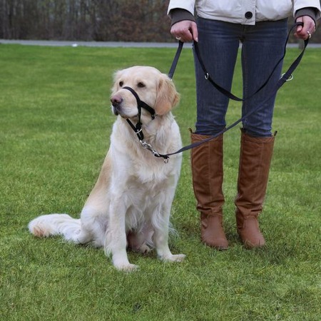 Намордник Trixie для собак тренировочный S 22 см длина поводка 35-42 см фото 1