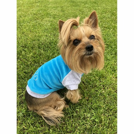 Толстовка OSSO-fashion для собак любого возраста миниатюрных мелких и средних пород из велюра голубого цвета - р. 35 фото 1