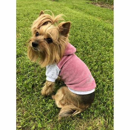 Толстовка с капюшоном OSSO-fashion для собак любого возраста миниатюрных мелких и средних пород из велюра розового цвета - р. 20 фото 1