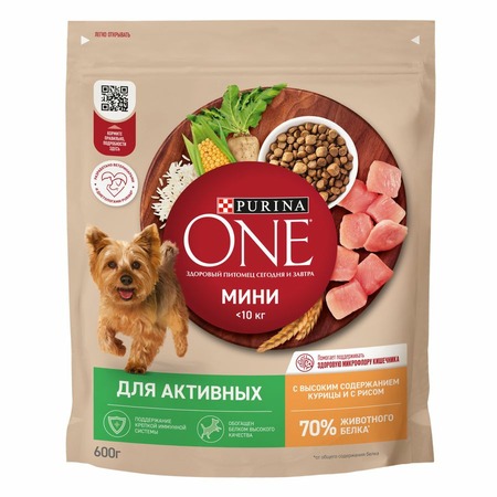 Purina ONE Мини Активная сухой корм для собак мелких и миниатюрных пород, с высоким содержанием курицы и рисом - 600 г фото 1