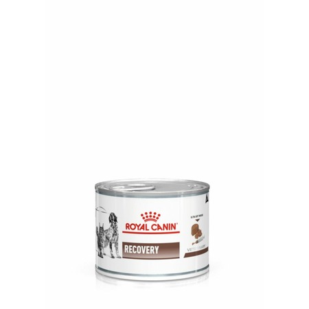 Royal Canin Recovery Canine полнорационный влажный корм для взрослых кошек и собак в период выздоровления, диетический, паштет, в консервах - 195 г фото 1
