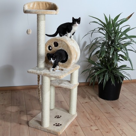Trixie Домик для кошки Salamanca, 138 см, бежевый фото 1