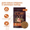 Wellness Core сухой корм для взрослых собак средних пород с индейкой и курицей 10 кг фото 2