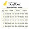 Dog&Dog Expert Premium Great-Progress Puppy сухой сухой корм для щенков, с курицей фото 2