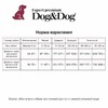 Dog&Dog Expert Premium Super-Power сухой корм для взрослых активных собак с курицей - 14 кг фото 2