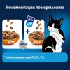 Felix Двойная Вкуснятина для взрослых кошек, с птицей - 600 г фото 2